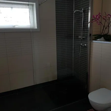 度假居 Trivelig Hus I Utkanten Av 莱克内斯
